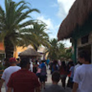 Meet your Posher, Crystal